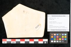 Foto (Objekt + Etikett) von Plantae indet.  (NHMW-GEO-2024-0188-11636)